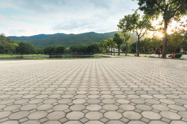 Best Residential Paver Driveway  in Thorsby, AL
